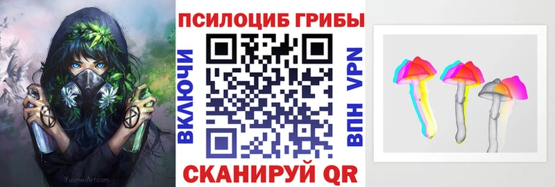 хочу Бирюсинск Псилоцибиновые грибы Psilocybe